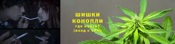 2c-b Алзамай