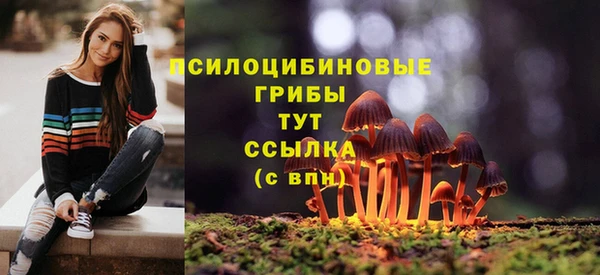 сатива Алексин